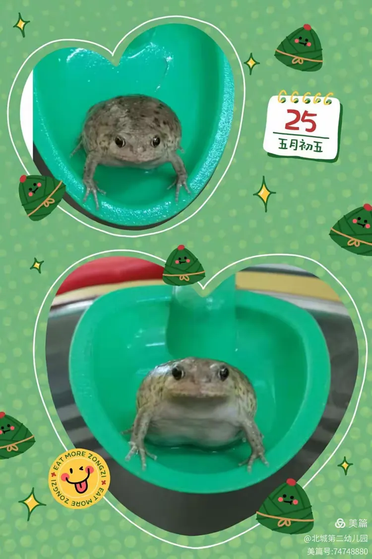 快乐的小青蛙——小二班